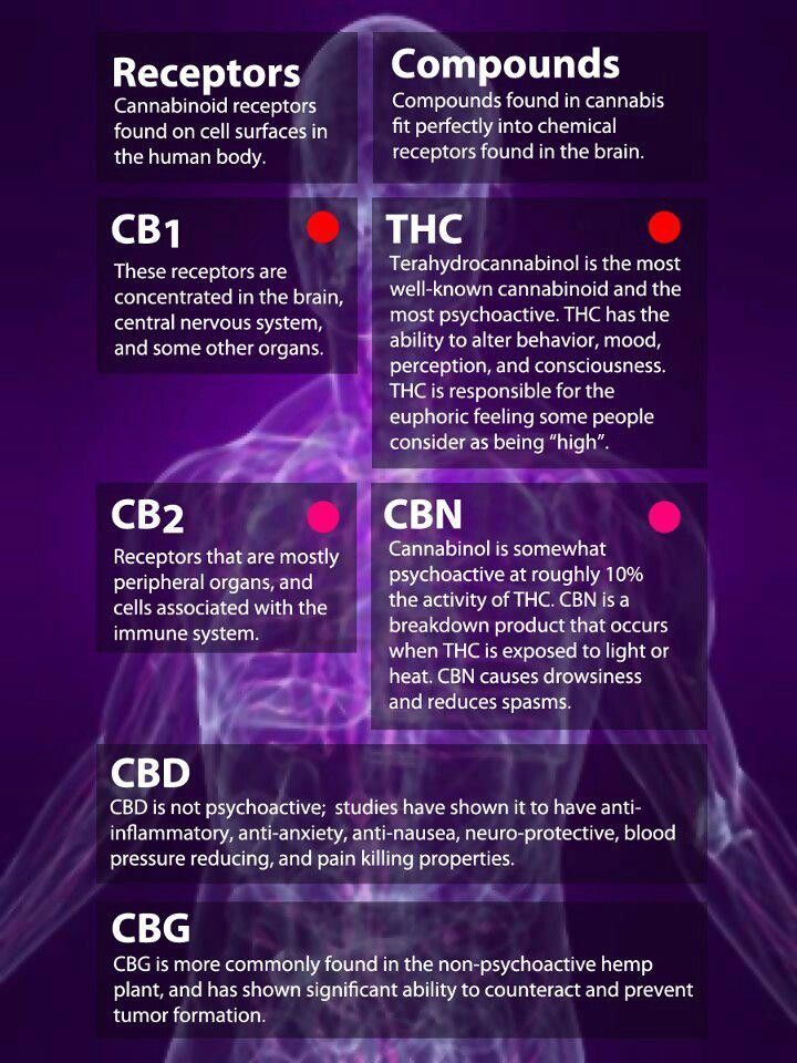 Eczema Miracle - Hemp Will Develop A Difference